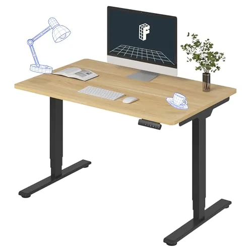 FLEXISPOT E6 Dual-Motor Electric Standing Desk 48x30