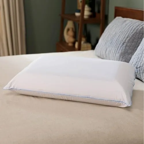 Tempur-Pedic TEMPUR-Cloud Pillow