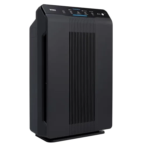 Winix 5500-2 Air Purifier — Recommended per expert consensus